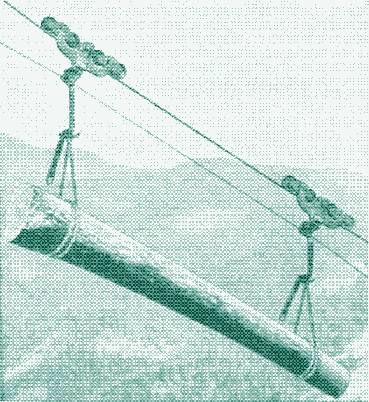 Image: Aerial ropeway transporting lumber.