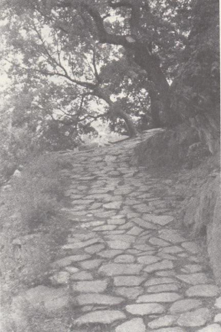 Image: wheelbarrow road. Credit: Joseph Needham.