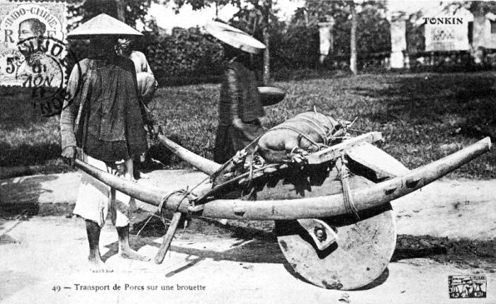 Image: A Vietnamese wheelbarrow carrying a pig. Old postcard.