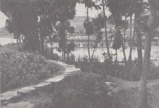 Image: wheelbarrow road. Credit: Joseph Needham.