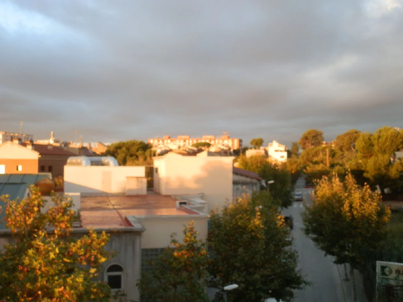 The view from my home office. Image by Kris de Decker.