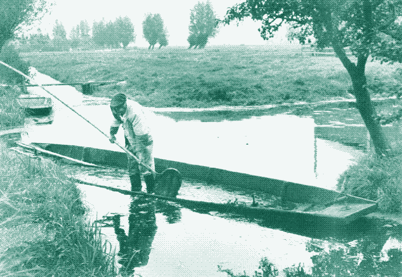 Dredging by hand, standing on a boat. Image.