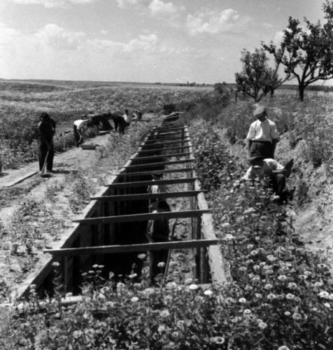 Image: A fruit trench in Touapsé.