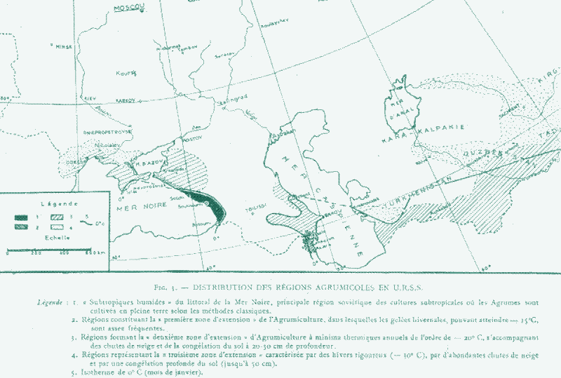 Image: Citrus culture regions in the USSR.