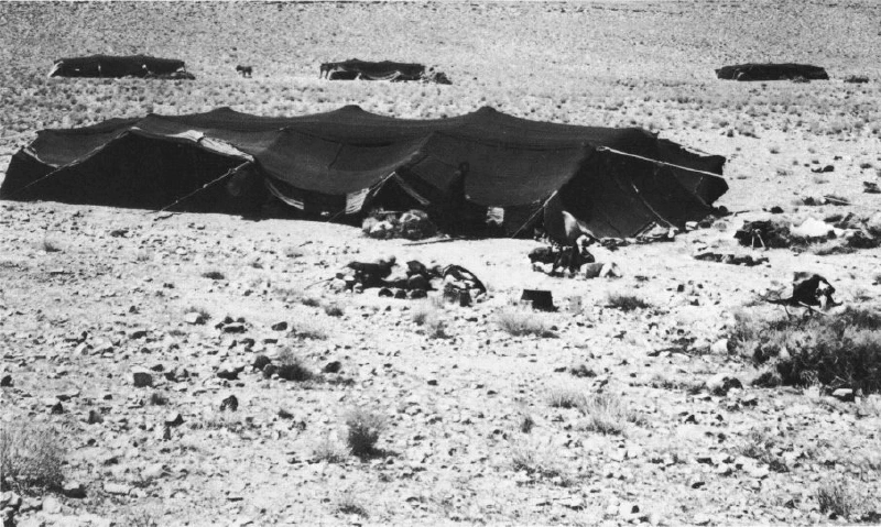 Image: An encampment of black tents in South Jordan. Source: Drew, Philip. Tensile architecture, 1979/2019.