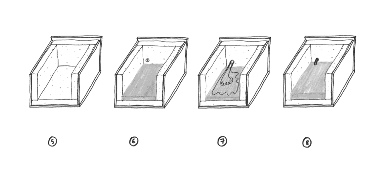 Image: Step-by-step instructions (fig 5. to 8.). Illustration by Marie Verdeil.