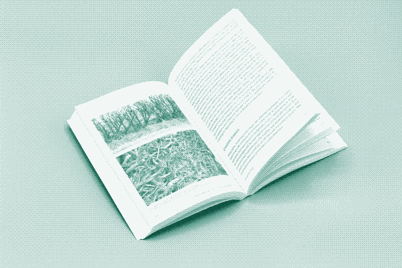 Image: The redesigned and revised chronological book edition. Photo: Marie Verdeil.