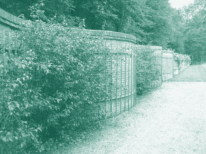 Un muro frutal de serpentina en los Paises Bajos. Wikipedia Commons.