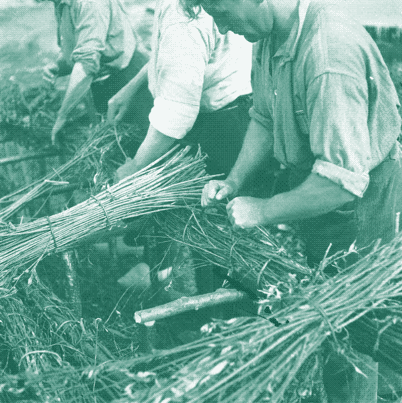 Imagen: Fabricación de tapetes de broza, 1945. Fotógrafo desconocido / Anefo, CC0, via Wikimedia Commons