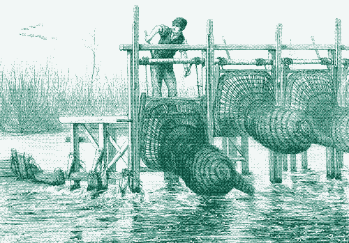 « Lowering the Eel Bucks », tirée de « Life on the Upper Thames », H.R. Robinson, 1875 (source)