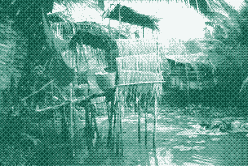 Image: Une latrine surplombant un étang à poissons au Vietnam. Source: UNEP International Environmental Technology Centre. (2002). Environmentally Sound Technologies for Wastewater and Stormwater Management: an International Source Book (Vol. 15). International Water Assn.