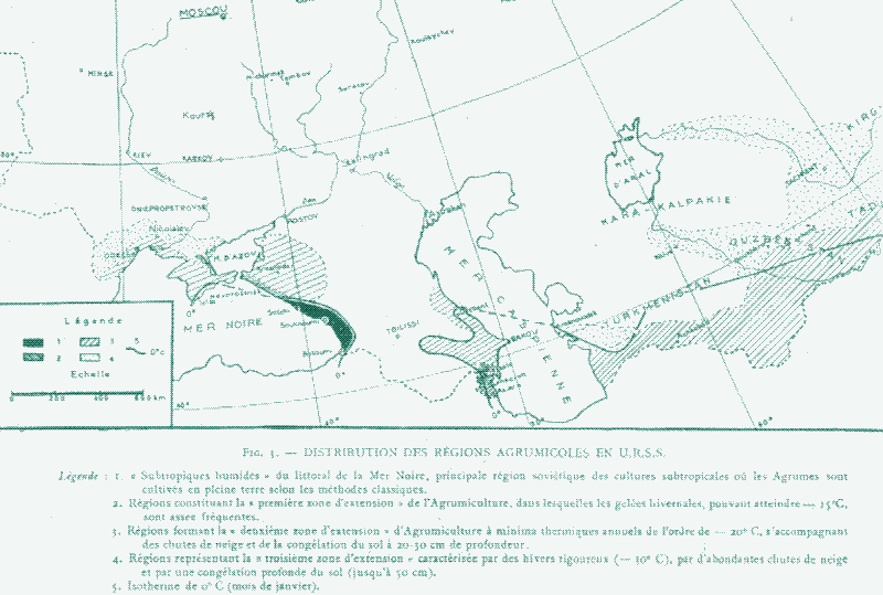 Afbeelding: Citrus teeltregionen in de Sovjet-Unie.