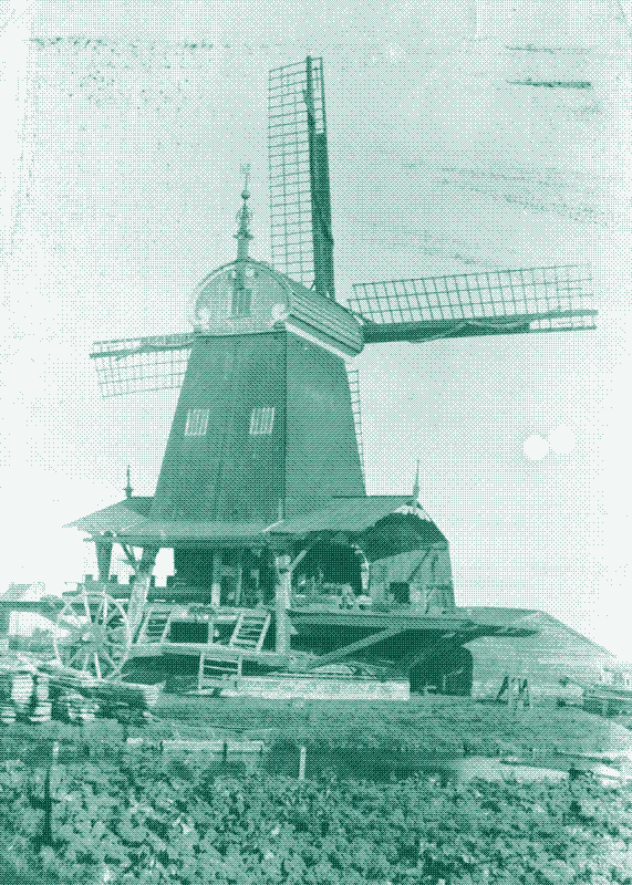 Zdjęcie: Holenderski wiatrak tartaczny „De Eenhoorn” (pol. „Jednorożec”). Źródło: Penterbak